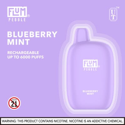 flum_pebble_blueberry_mintBuy_Vapes_Online_SouthernNewEngland_Fast_Delivery_DabDrip_com_viho_raz_air_bar_geek_bar-400x400-1