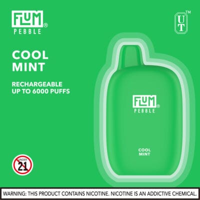 flum_pebble_cool_mintBuy_Vapes_Online_SouthernNewEngland_Fast_Delivery_DabDrip_com_viho_raz_air_bar_geek_bar-400x400-1