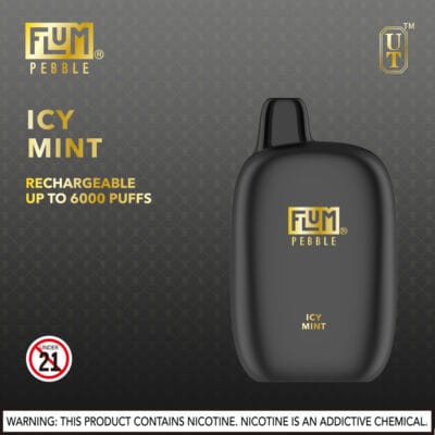flum_pebble_icy_mintBuy_Vapes_Online_SouthernNewEngland_Fast_Delivery_DabDrip_com_viho_raz_air_bar_geek_bar-400x400-1