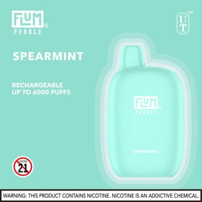 flum_pebble_spearmintBuy_Vapes_Online_SouthernNewEngland_Fast_Delivery_DabDrip_com_viho_raz_air_bar_geek_bar-400x400-1